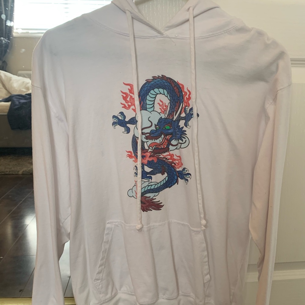 brandy melville dragon hoodie